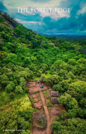 The Forest Edge Resort